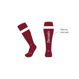 DENSELN PRO RACE SOCK